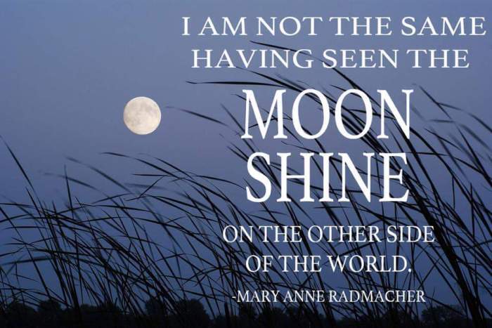 FB_IMG_1446504493134