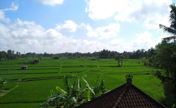 Bali ~ Island of the Gods ~ Bhinneka Tunggal Ika ~ Out of Many, One ~ Unity in&nbsp;Diversity