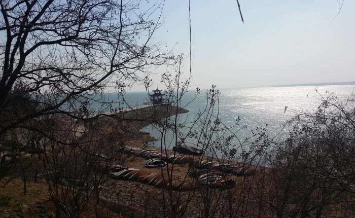 Only In China: Fate, Serendipity, and a Tank Full of&nbsp;Trouble