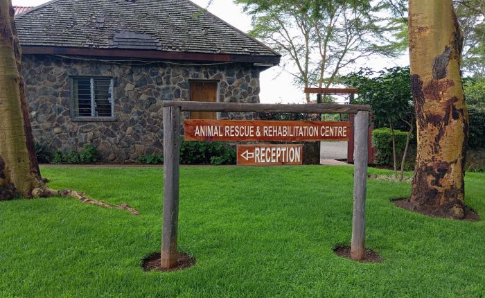 Between Care and Wildness – A Glimpse Into the Mount Kenya Animal&nbsp;Orphanage